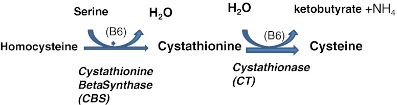 Fig. 6