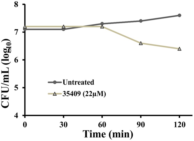 FIGURE 2