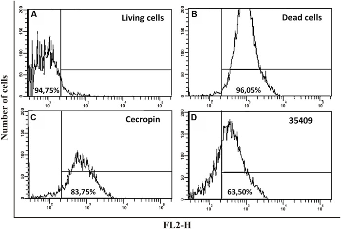 FIGURE 4