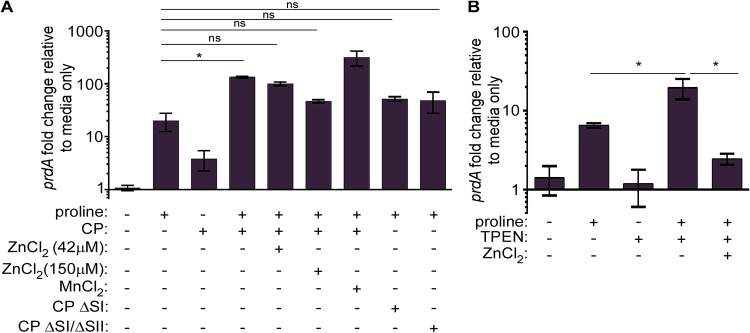 FIG 2