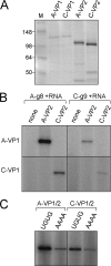 FIG. 9.