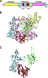 FIG. 1.