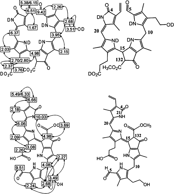 Scheme 2