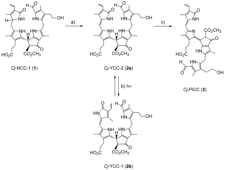 Scheme 3