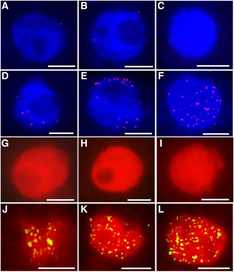 Figure 9.