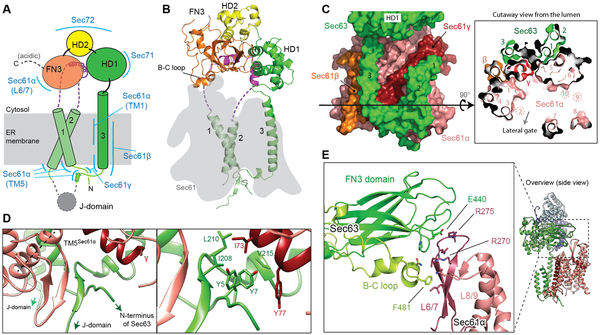 Figure 2.