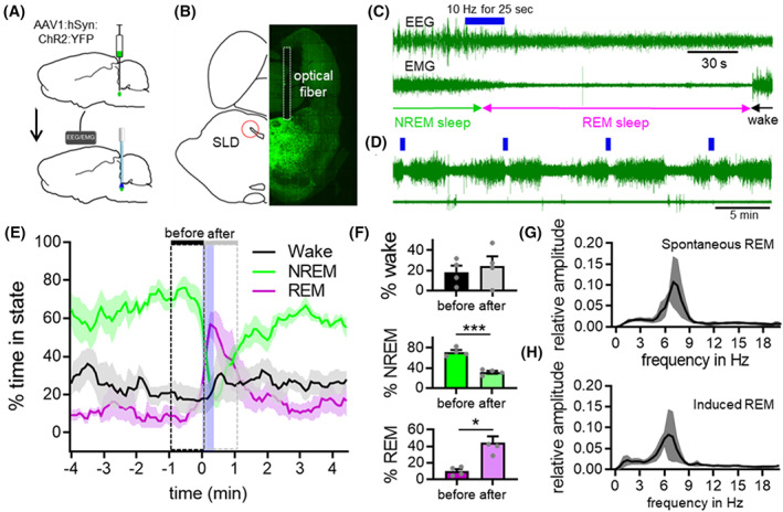 FIGURE 1