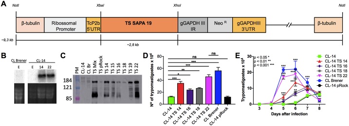 Fig 6