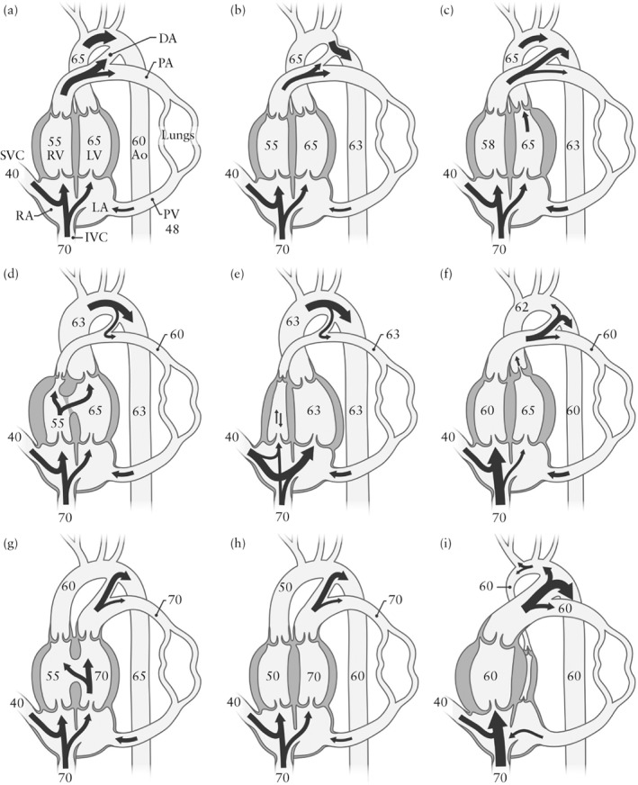 UOG-19102-FIG-0001-b