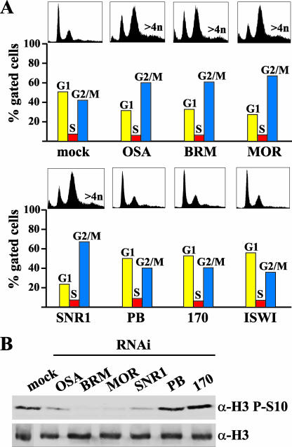 FIG. 6.