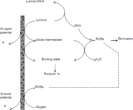 Scheme 1.