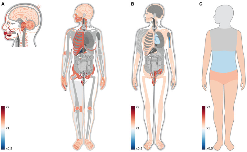 Figure 3.