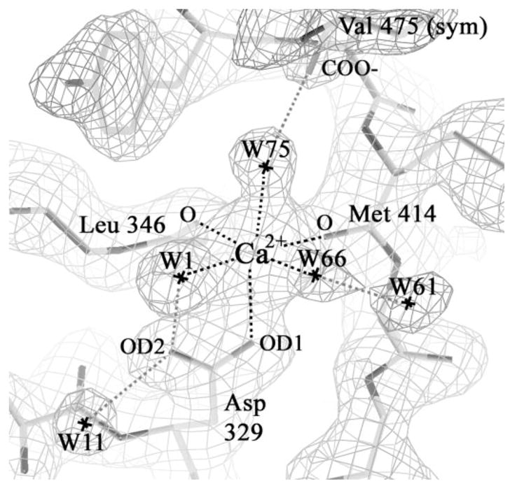 FIGURE 4