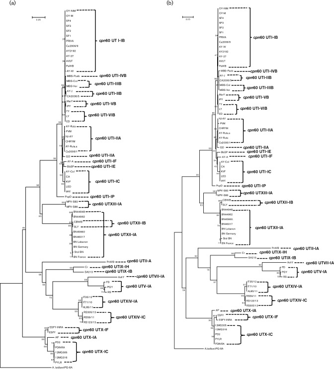 Fig. 8.