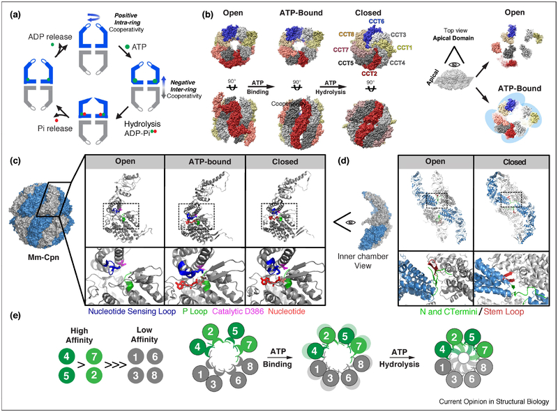 Figure 2: