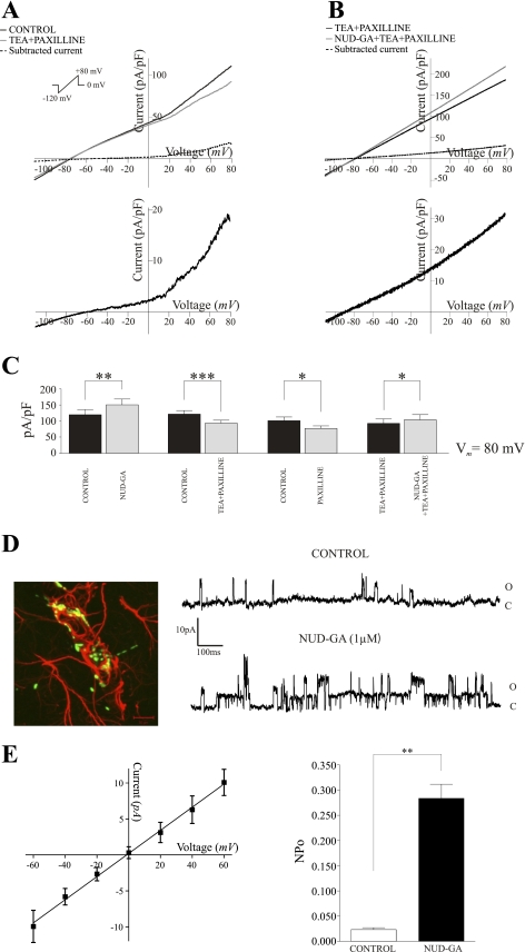 Fig. 4.