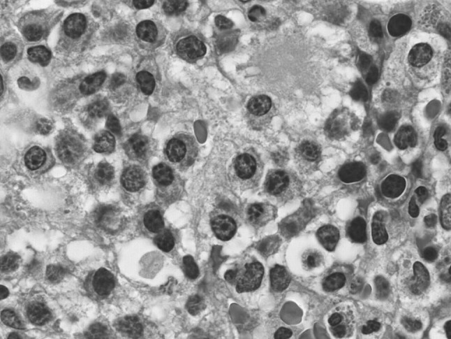 Fig. 1