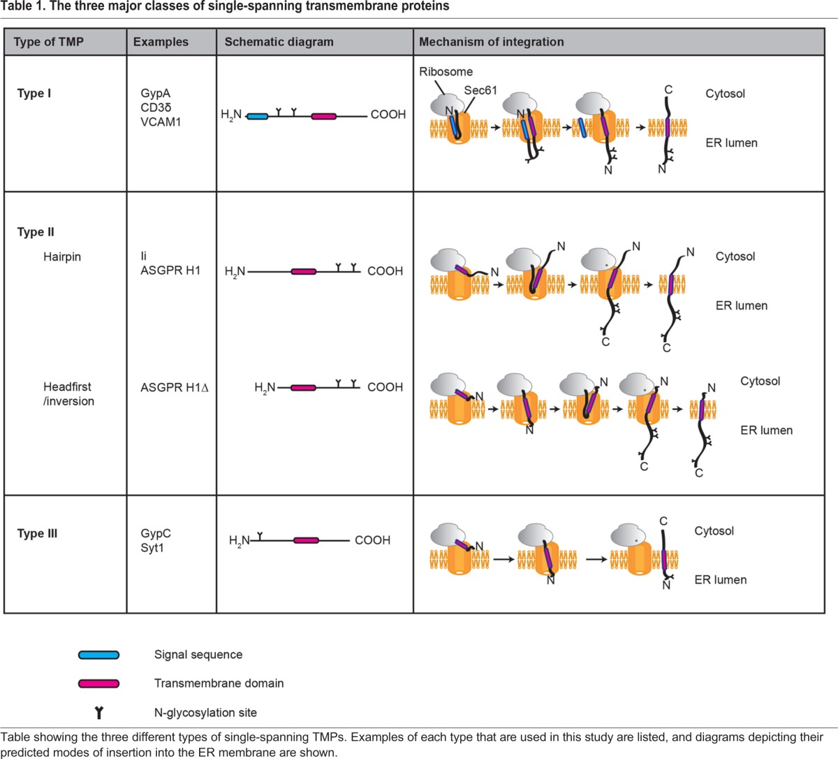 graphic file with name joces-130-198655-i1.jpg