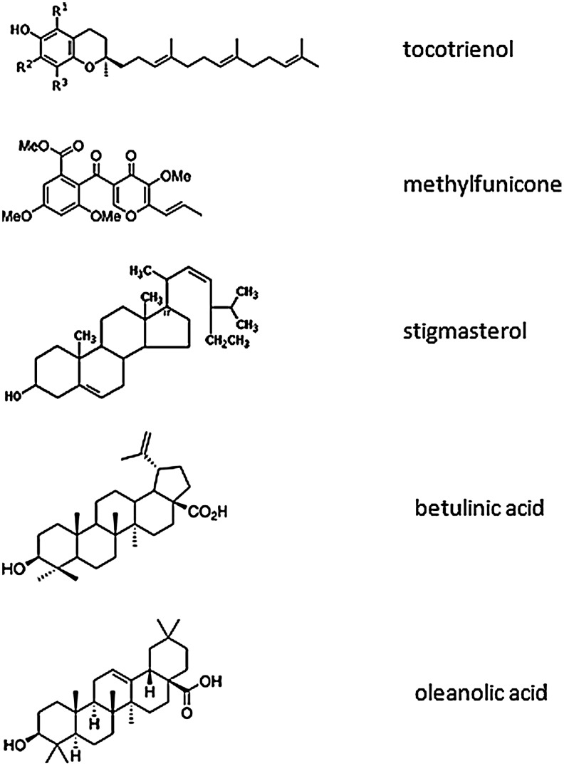 FIG. 10.