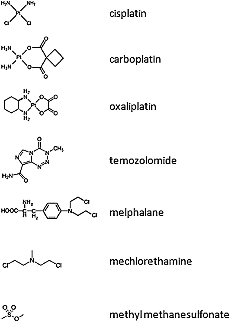 FIG. 8.