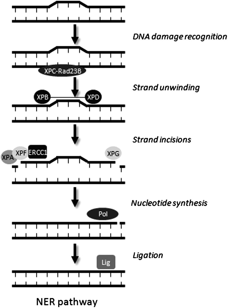 FIG. 6.