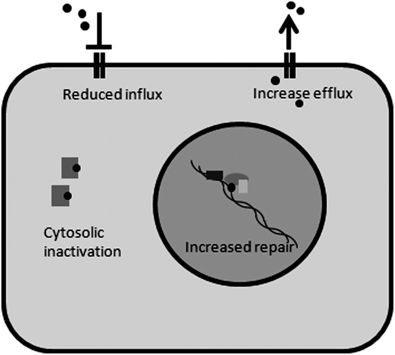 FIG. 7.