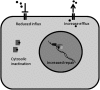 FIG. 7.