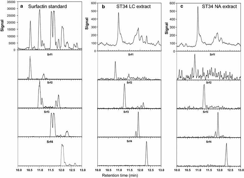 Fig. 2