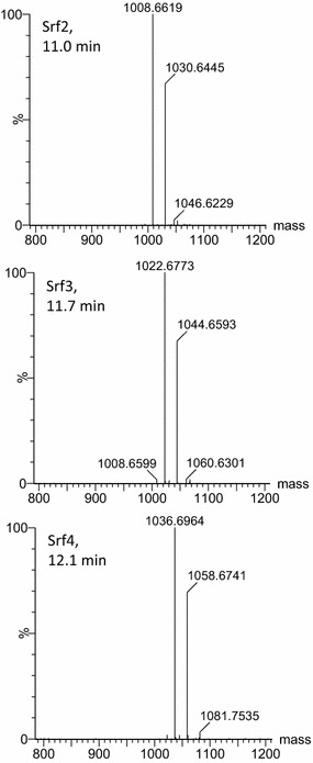 Fig. 3