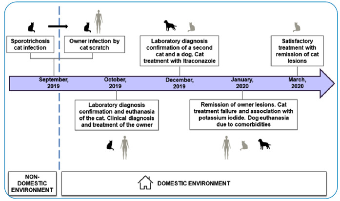 FIGURE 3: