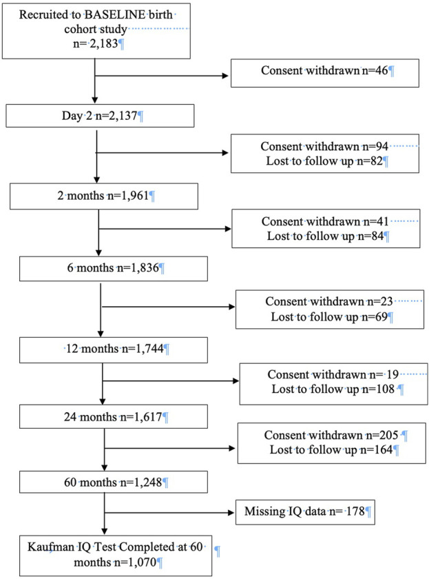 FIGURE 1