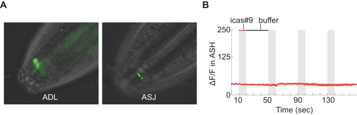 Figure 5—figure supplement 1.