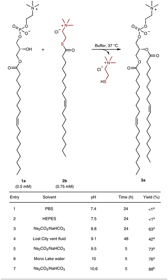 graphic file with name nihms-1767879-t0001.jpg