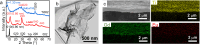 Fig. 12