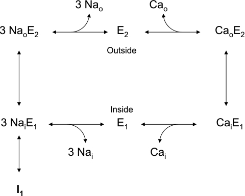 Fig. 8.