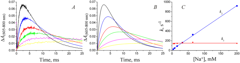 Figure 5