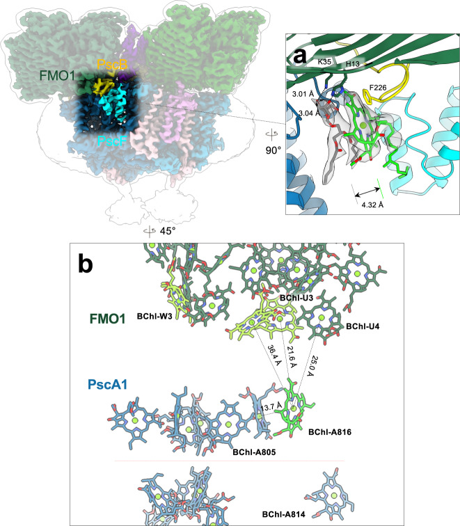 Fig. 2