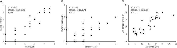 Fig. 5