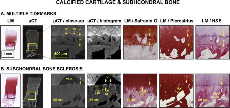 Fig. 4