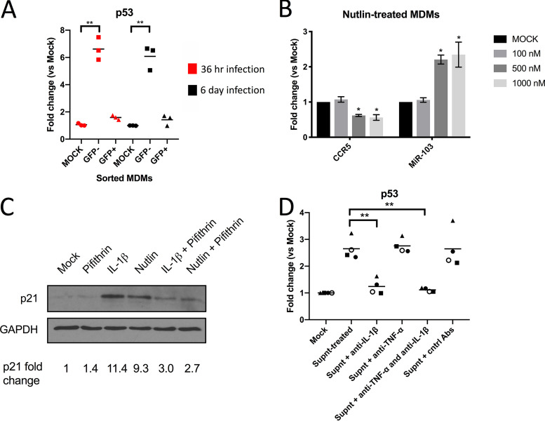 FIG 6