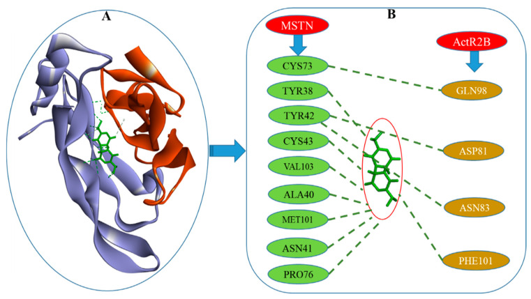 Figure 6