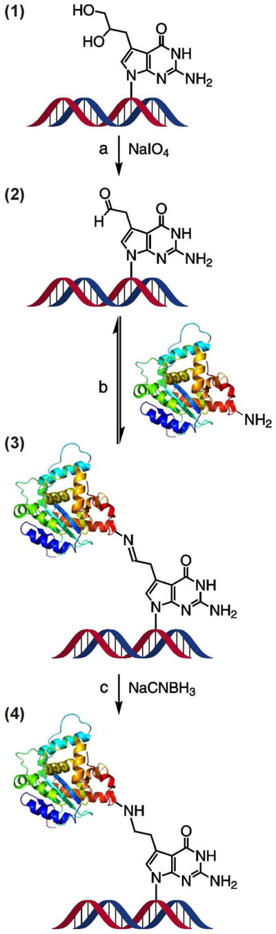 Scheme 2