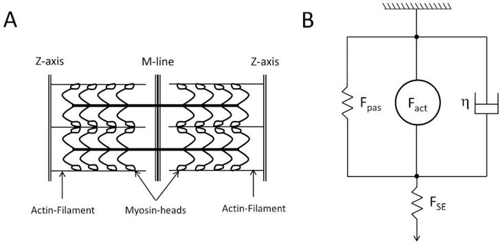 Figure A.1