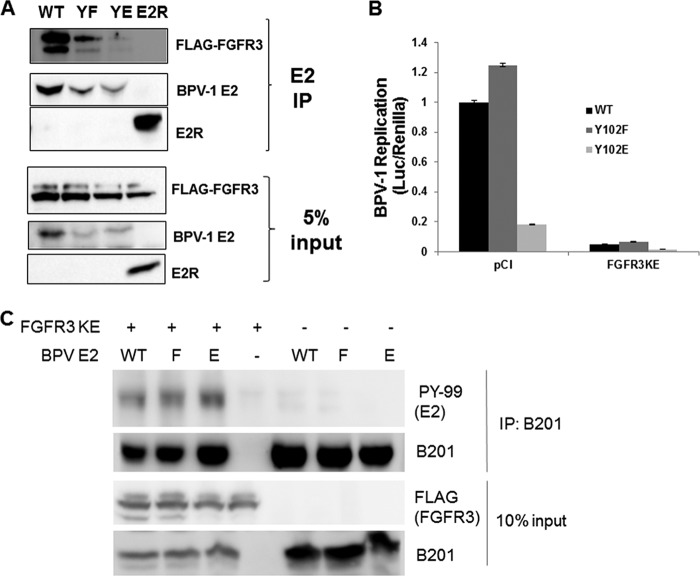 FIG 10