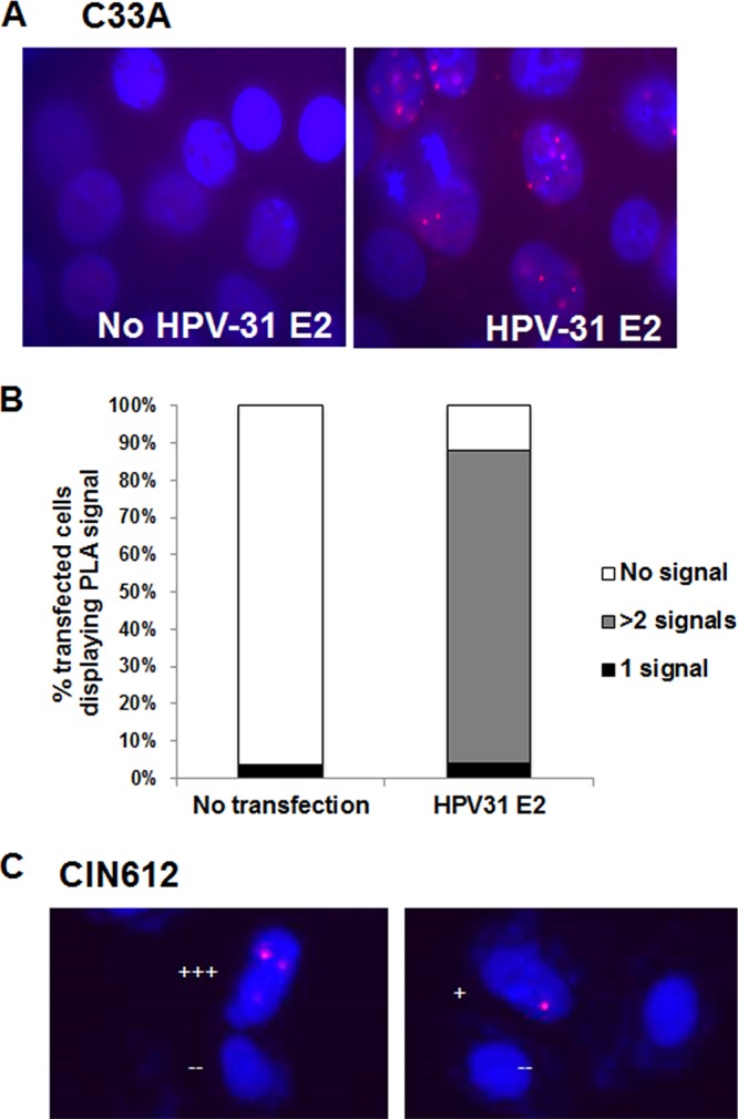 FIG 6