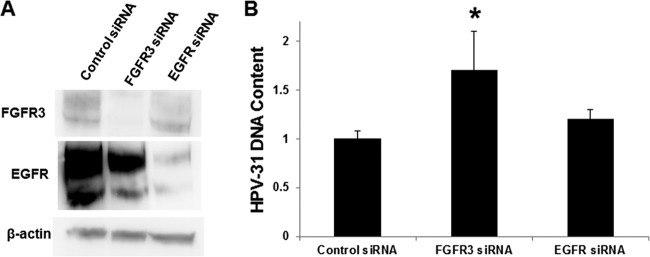 FIG 9