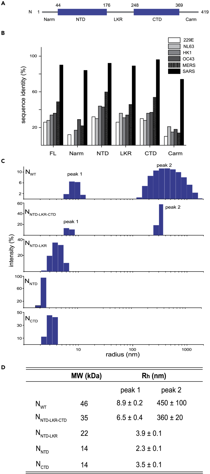 Figure 1