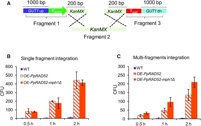 Figure 4.