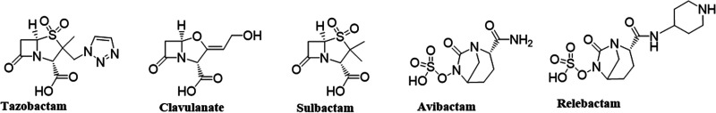 FIG 1