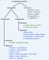 An overview of the main forms of evolutionary conflicts in organisms (modified from [5]).